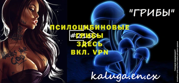 гашик Дмитриев